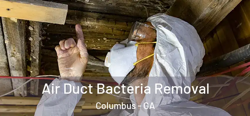  Air Duct Bacteria Removal Columbus - GA