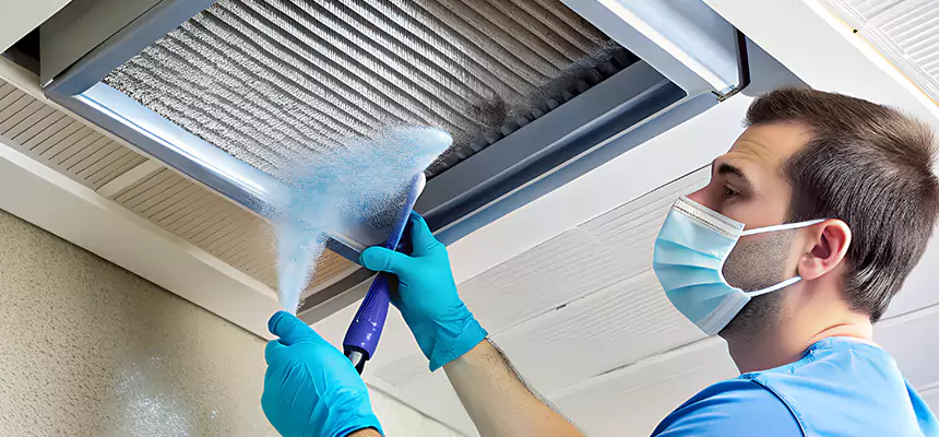 Proactive Dryer Vent & Auxiliary Duct Pollen Cleanup in Columbus, GA