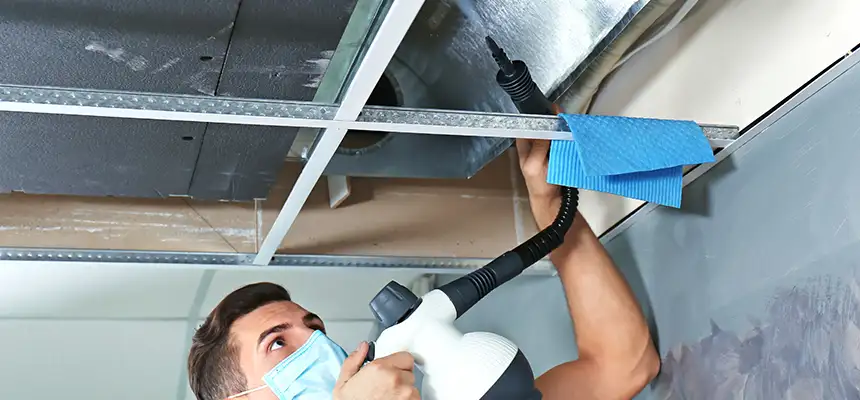 Our Air Duct Rodent Removal Services in Columbus, GA