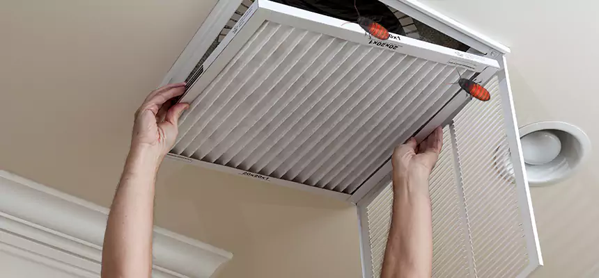 Our Insect Removal from Air Ducts Services in Columbus, GA