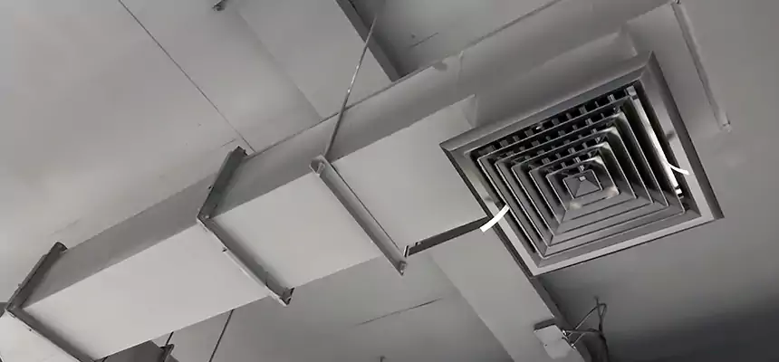 Our Rodent Droppings In Vents Services in Columbus, GA