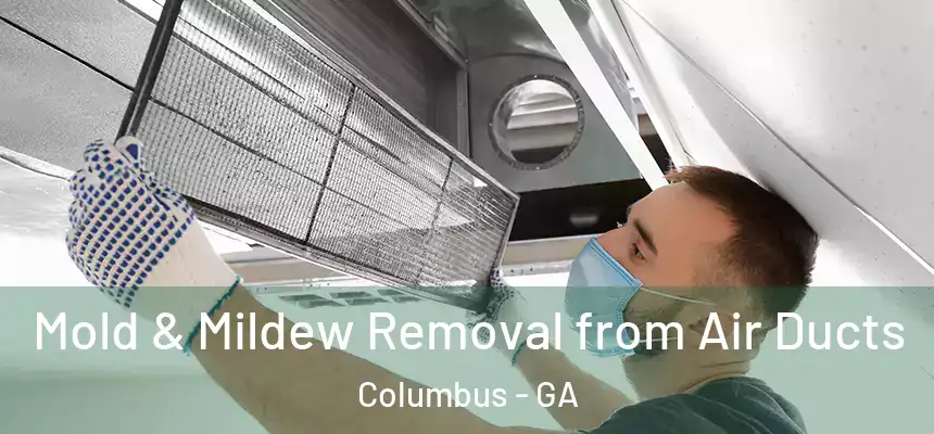  Mold & Mildew Removal from Air Ducts Columbus - GA