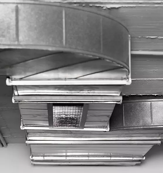 Professional Air Duct Pest Removal in Columbus, GA