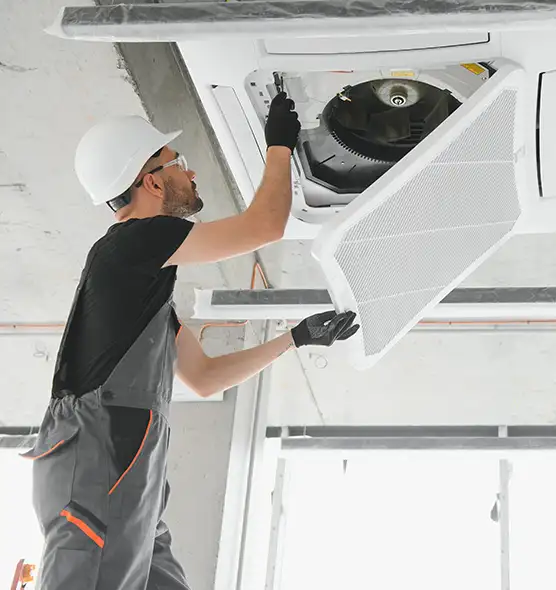 About Air Duct Rodent Removal in Columbus, GA