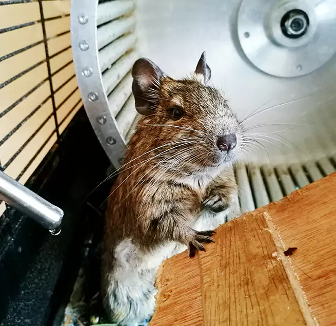 Why Homeowners & Businesses Trust Us Columbus, GA