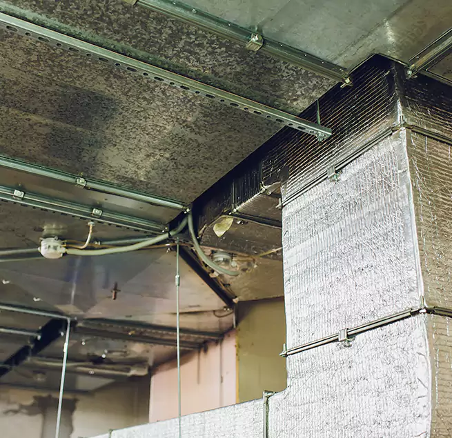 Why Homeowners & Businesses Trust Us in Columbus, GA?